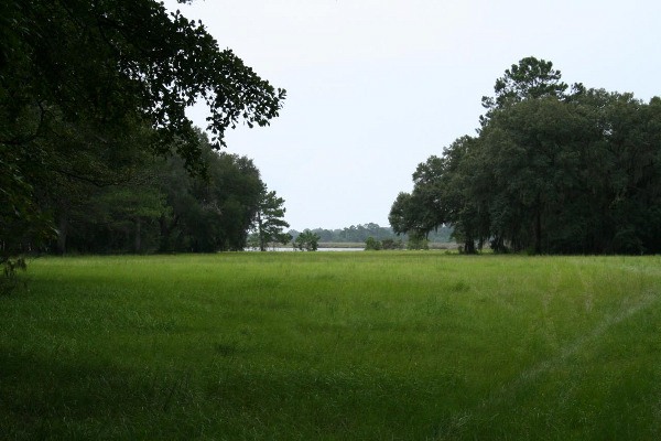 Airy Hall Plantation
