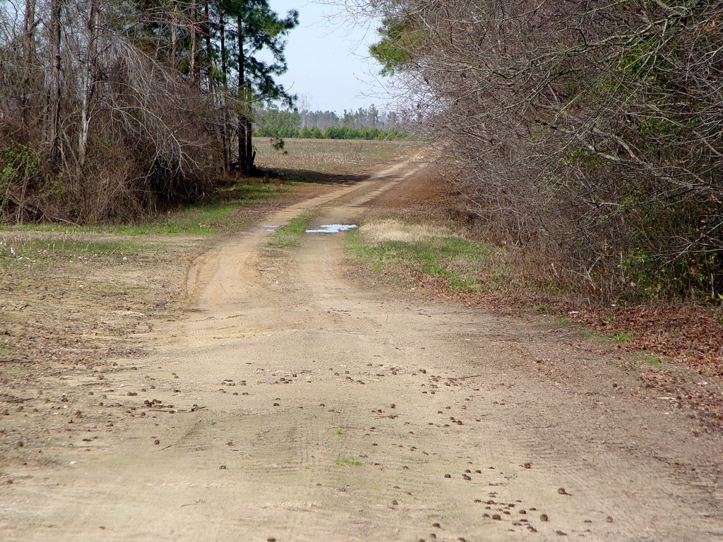 Locations Hub - Old Joe Rast Farms