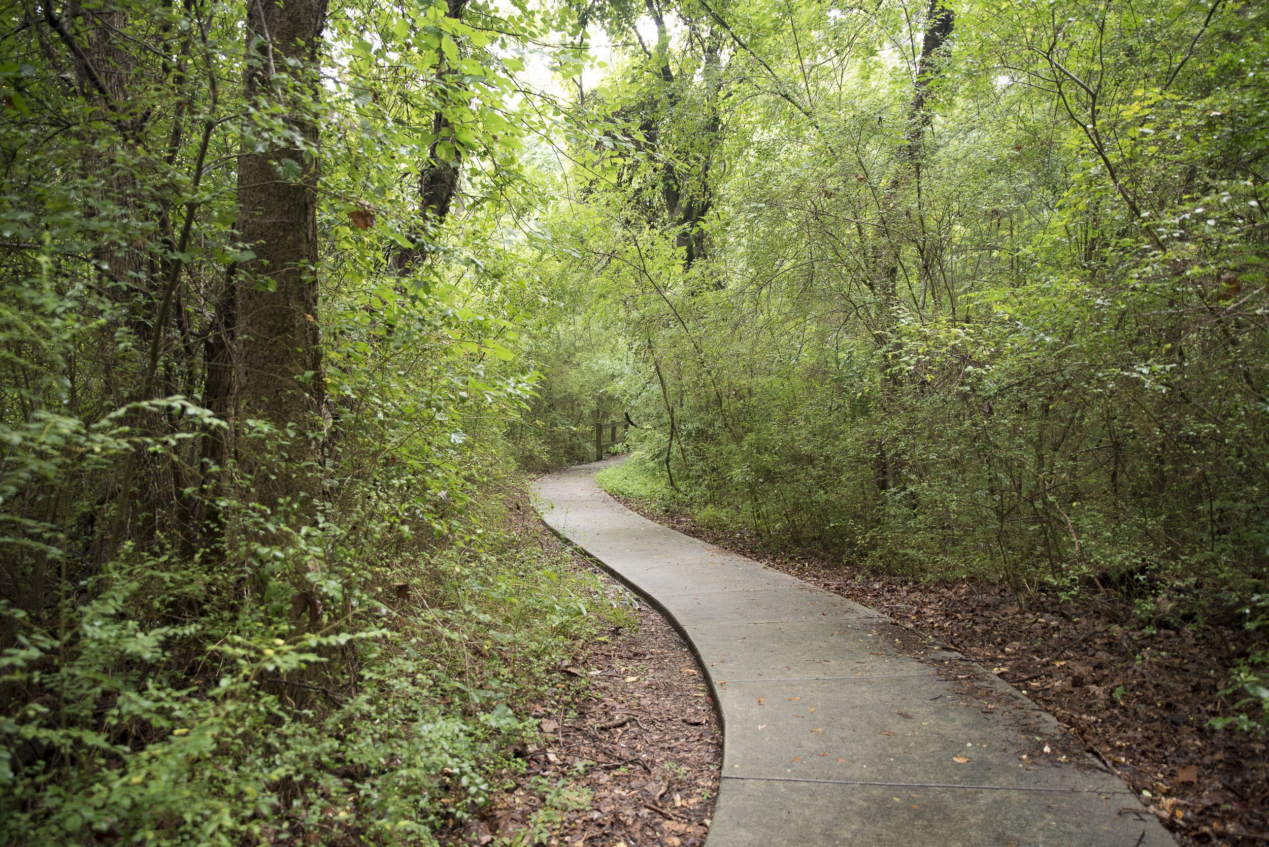 Zillow Tega Cay Sc - 3ubk9y2