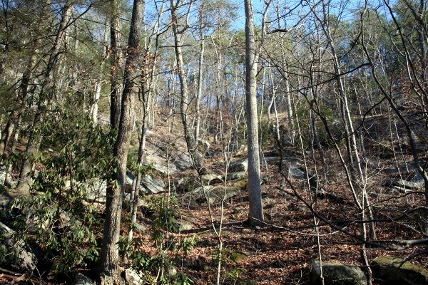 Caesars Head State Park - Wildcat Branch Falls (3/13/2008 - Credits: Dan Hydrick)