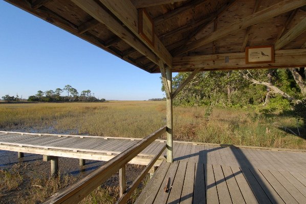 Hunting Island State Park - Marsh Walk (10/19/2009 - Credits: Steve Rhea)