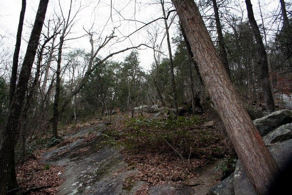 Caesars Head State Park - Wildcat Branch Falls (3/25/2010 - Credits: Dan Hydrick)