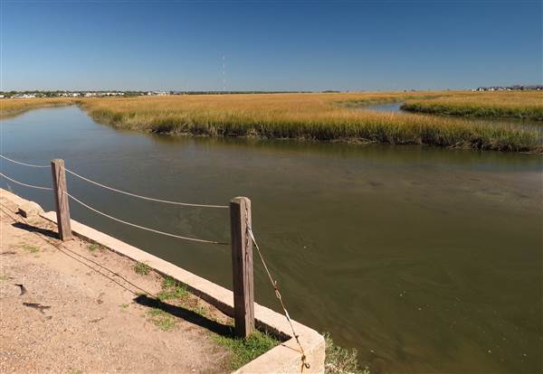 Pitt Street Bridge - Mt. Pleasant
