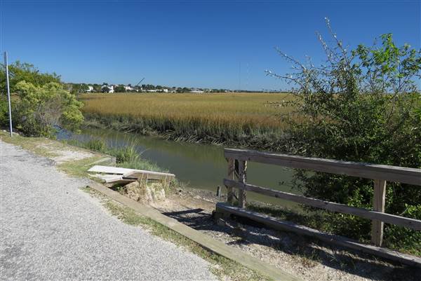 Pitt Street Bridge - Mt. Pleasant