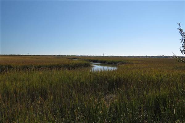 Pitt Street Bridge - Mt. Pleasant