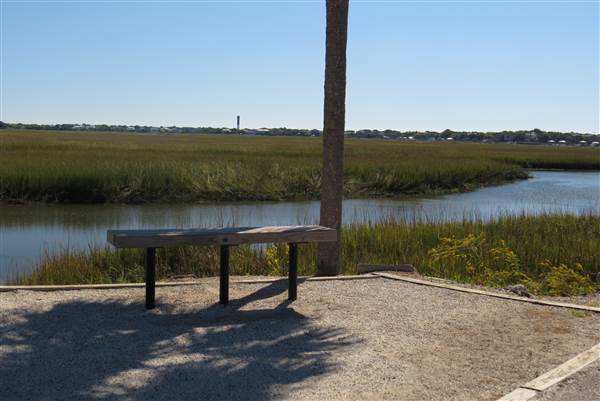 Pitt Street Bridge - Mt. Pleasant