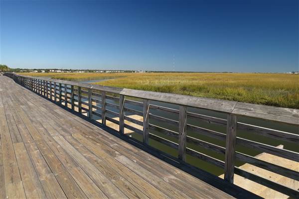 Pitt Street Bridge - Mt. Pleasant