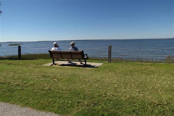 Pitt Street Bridge - Mt. Pleasant