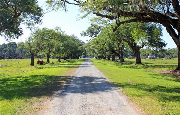 Middleburg Plantation