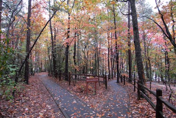 Devils Fork State Park (11/14/2017)