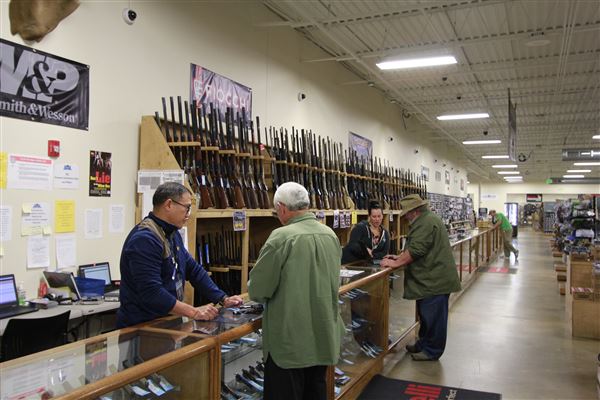 Palmetto State Armory
