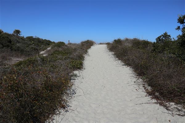 Folly Beach - Lighthouse Inlet Heritage Preserve