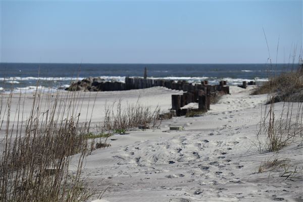 Folly Beach - Lighthouse Inlet Heritage Preserve