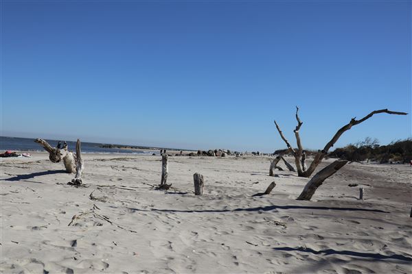 Folly Beach - Lighthouse Inlet Heritage Preserve