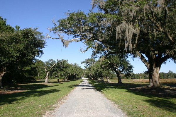 Middleburg Plantation