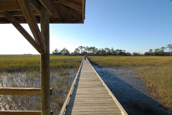 Hunting Island State Park - Marsh Walk (10/19/2009 - Credits: Steve Rhea)