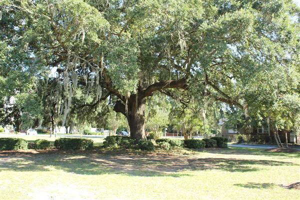 Carolina Voyager Charter School