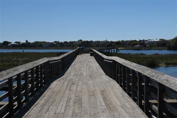 Pitt Street Bridge - Mt. Pleasant