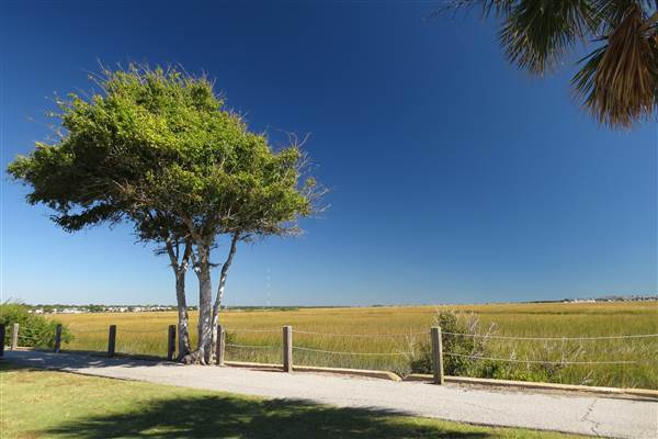 Pitt Street Bridge - Mt. Pleasant