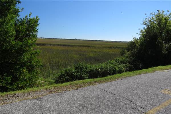 Pitt Street Bridge - Mt. Pleasant