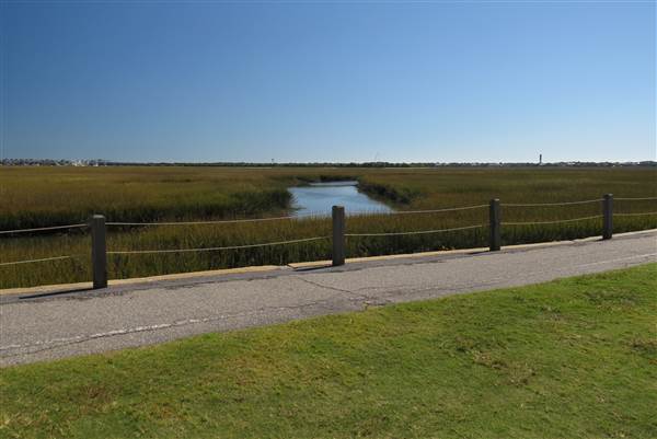 Pitt Street Bridge - Mt. Pleasant