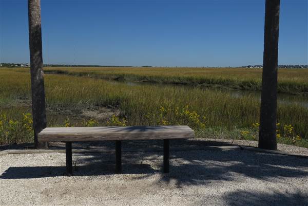 Pitt Street Bridge - Mt. Pleasant