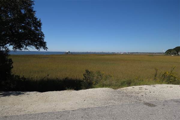 Pitt Street Bridge - Mt. Pleasant
