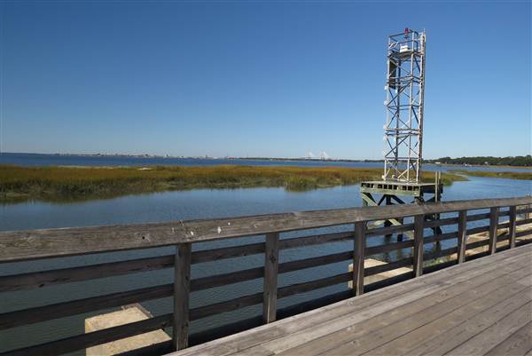 Pitt Street Bridge - Mt. Pleasant