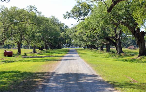 Middleburg Plantation