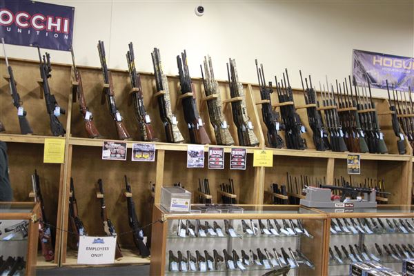 Palmetto State Armory