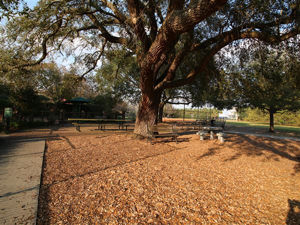 Hazel Parker Playground