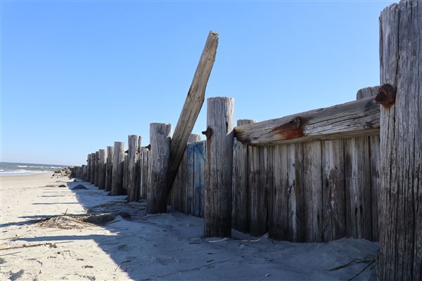 Folly Beach - Lighthouse Inlet Heritage Preserve