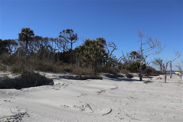 Folly Beach - Lighthouse Inlet Heritage Preserve