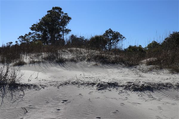 Folly Beach - Lighthouse Inlet Heritage Preserve