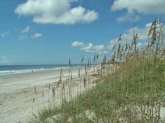 Myrtle Beach (7/7/2006 - Credits: Patricia Blackstock)