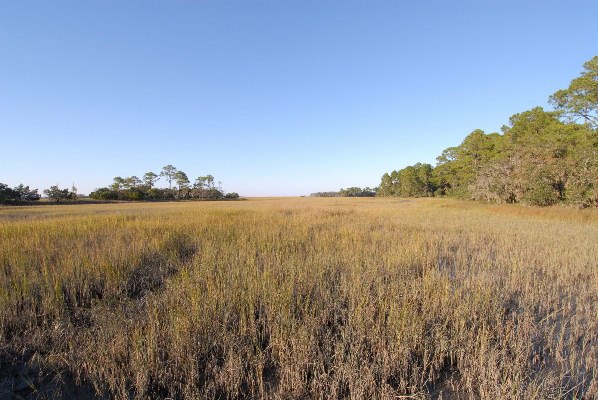 Hunting Island State Park - Marsh Walk (10/19/2009 - Credits: Steve Rhea)