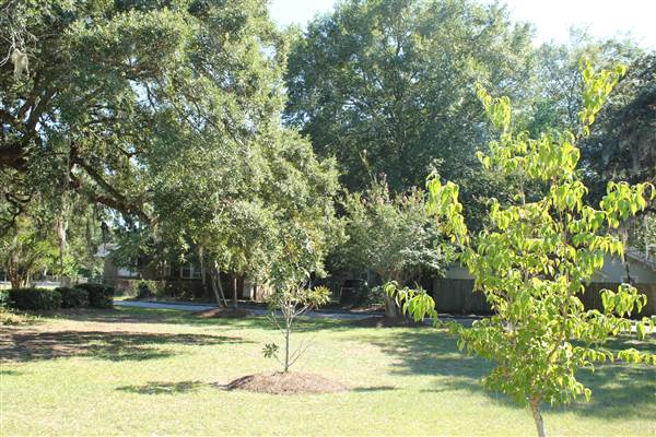 Carolina Voyager Charter School