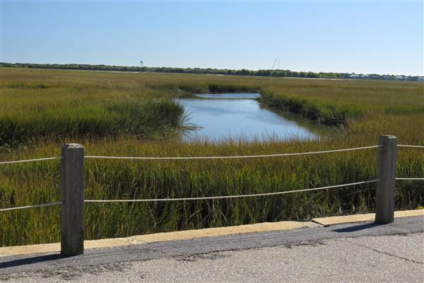 Pitt Street Bridge - Mt. Pleasant