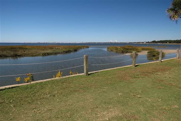 Pitt Street Bridge - Mt. Pleasant