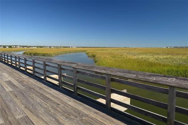 Pitt Street Bridge - Mt. Pleasant