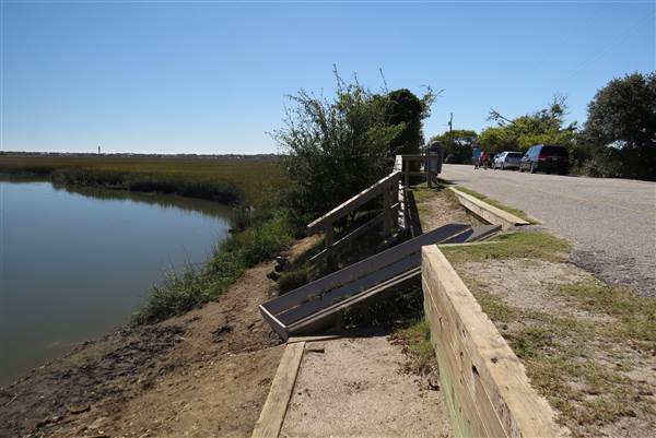 Pitt Street Bridge - Mt. Pleasant