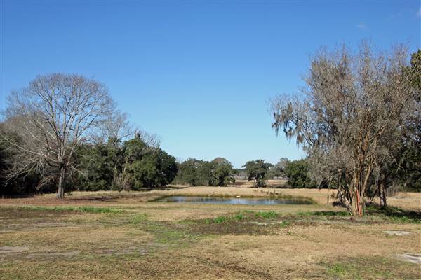 Middleburg Plantation