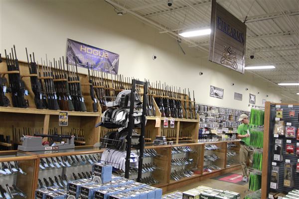 Palmetto State Armory