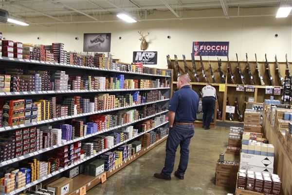 Palmetto State Armory