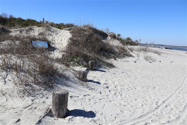 Folly Beach - Lighthouse Inlet Heritage Preserve