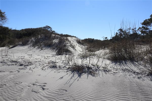 Folly Beach - Lighthouse Inlet Heritage Preserve