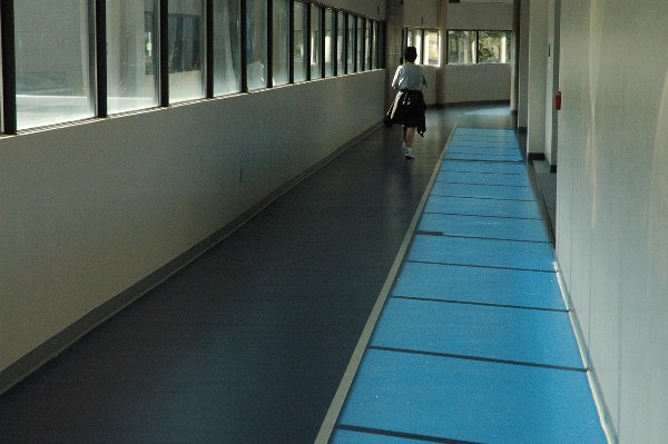 MUSC (Harper Student Wellness Center)