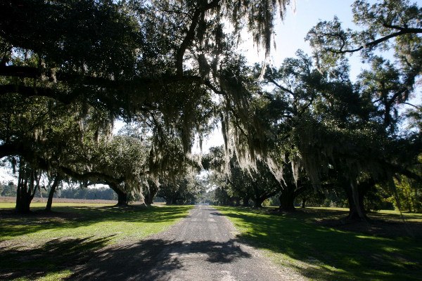 Middleburg Plantation