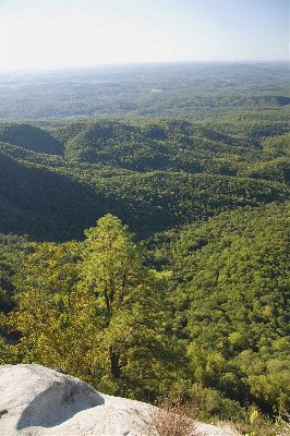 Caesars Head State Park (10/6/2010 - Credits: Jay Vaughan)