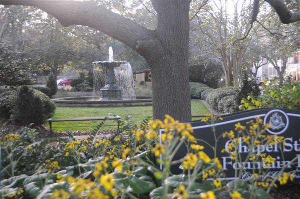 Chapel Street Fountain Park